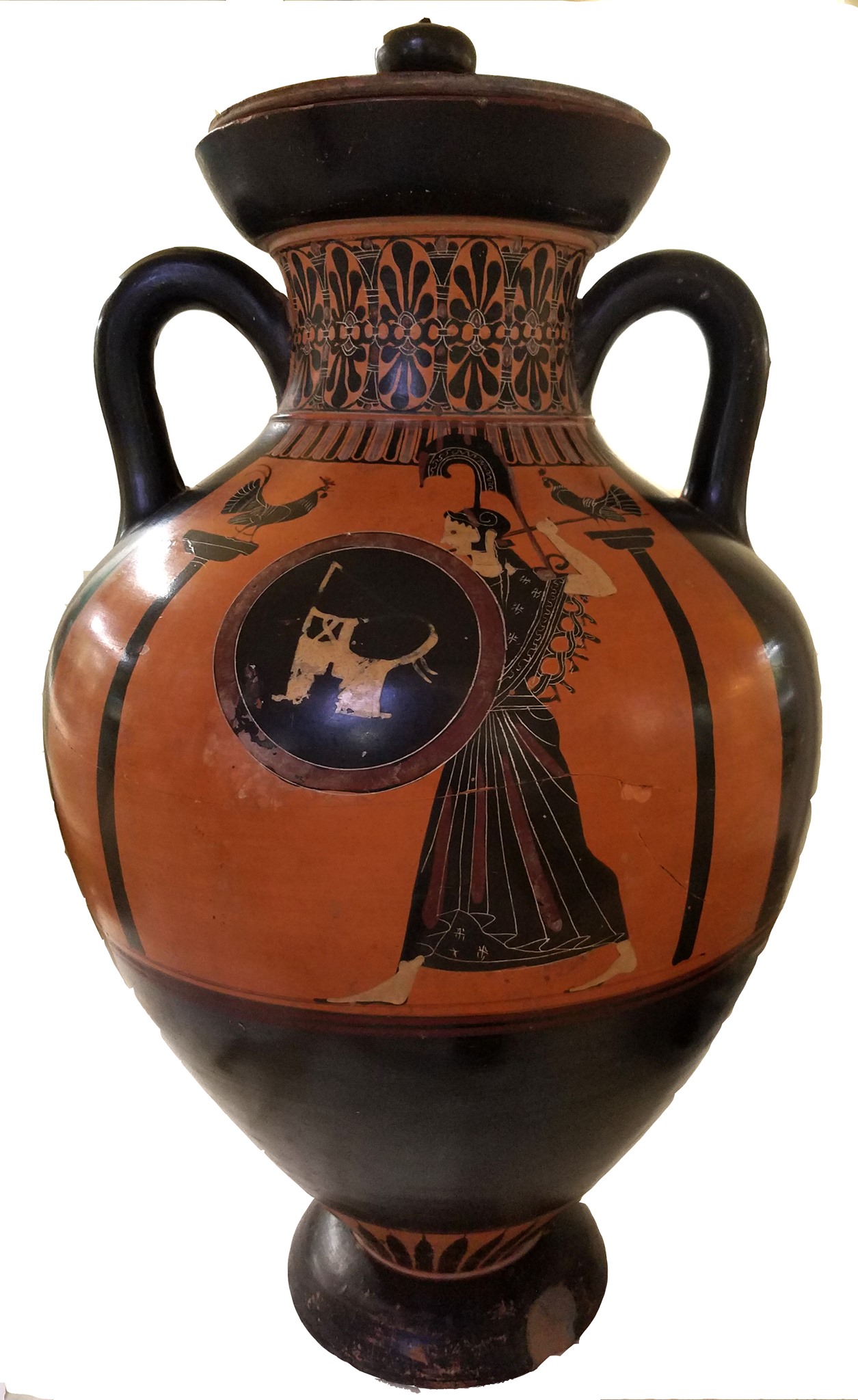 Anfora, ceramica attica a figure nere, attribuita al Pittore di Antimenes, 530-510 a.C. Vulci, Necropoli dell’Osteria, Tomba del Guerriero (XLVII), Scavi Mengarelli. Sala 3 del Museo.