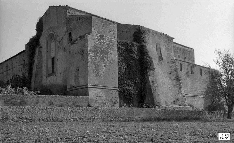 Tuscania, Santa Maria del Riposo. Paolo Monti, 1970, inv. 266821.