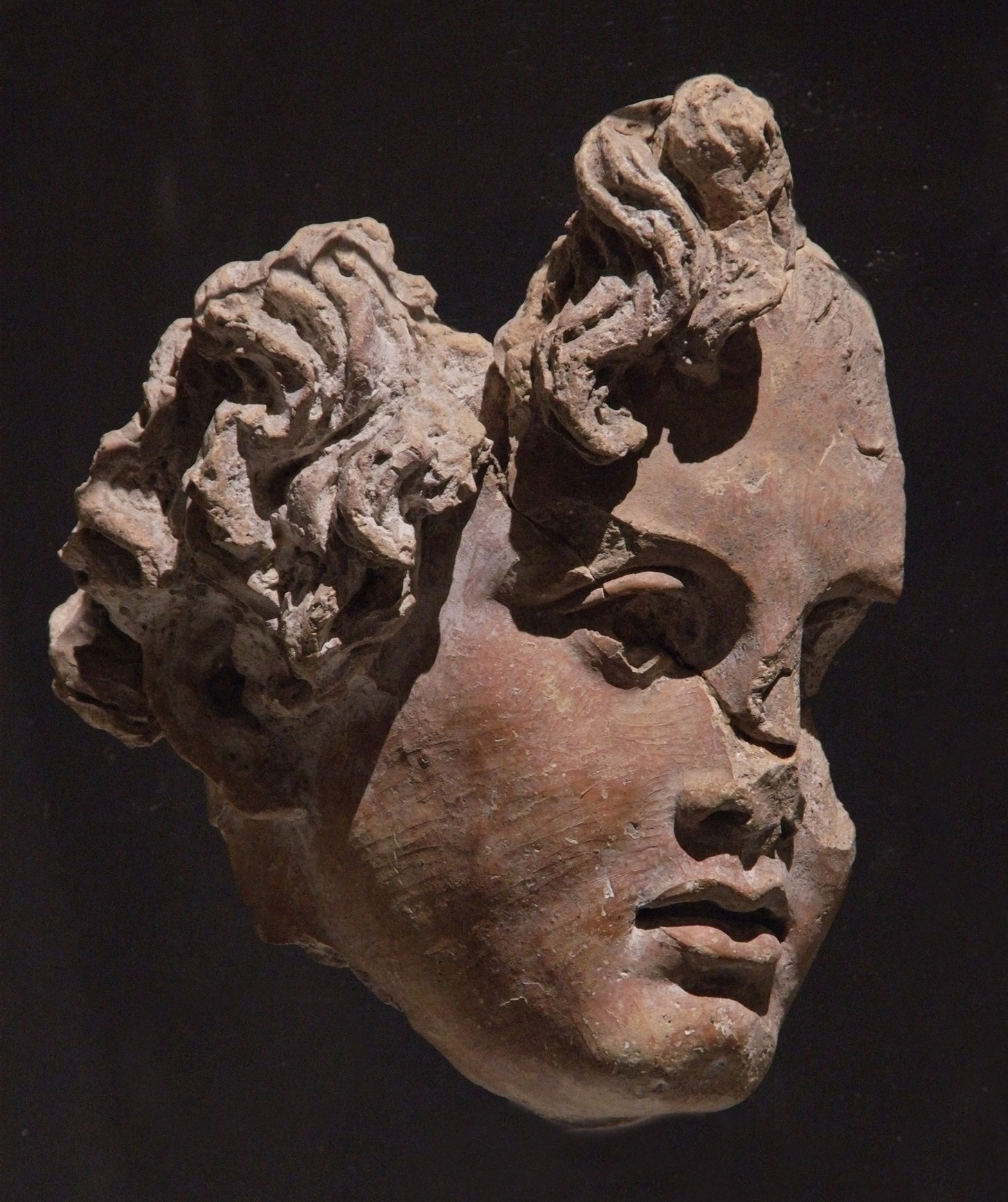 Testa maschile in terracotta, Forte Antenne, Roma,  n. inv. 9681