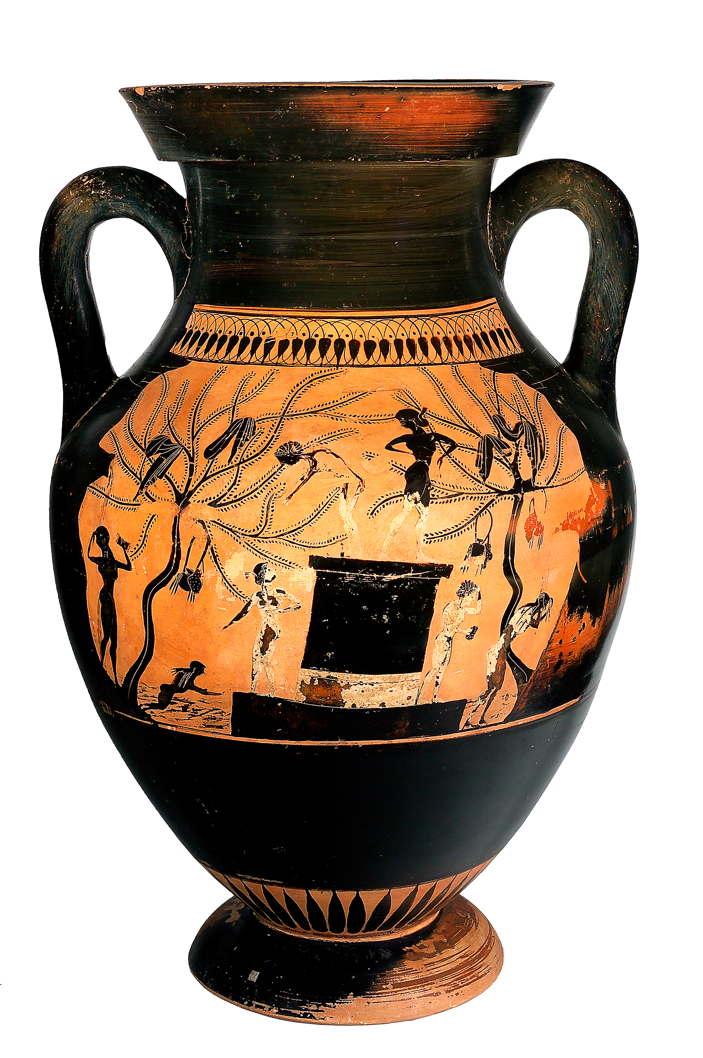 Anfora a figure nere, Pittore di Priamo, 520 circa a.C.  Da Cerveteri, Tomba 610 o Martini Marescotti.