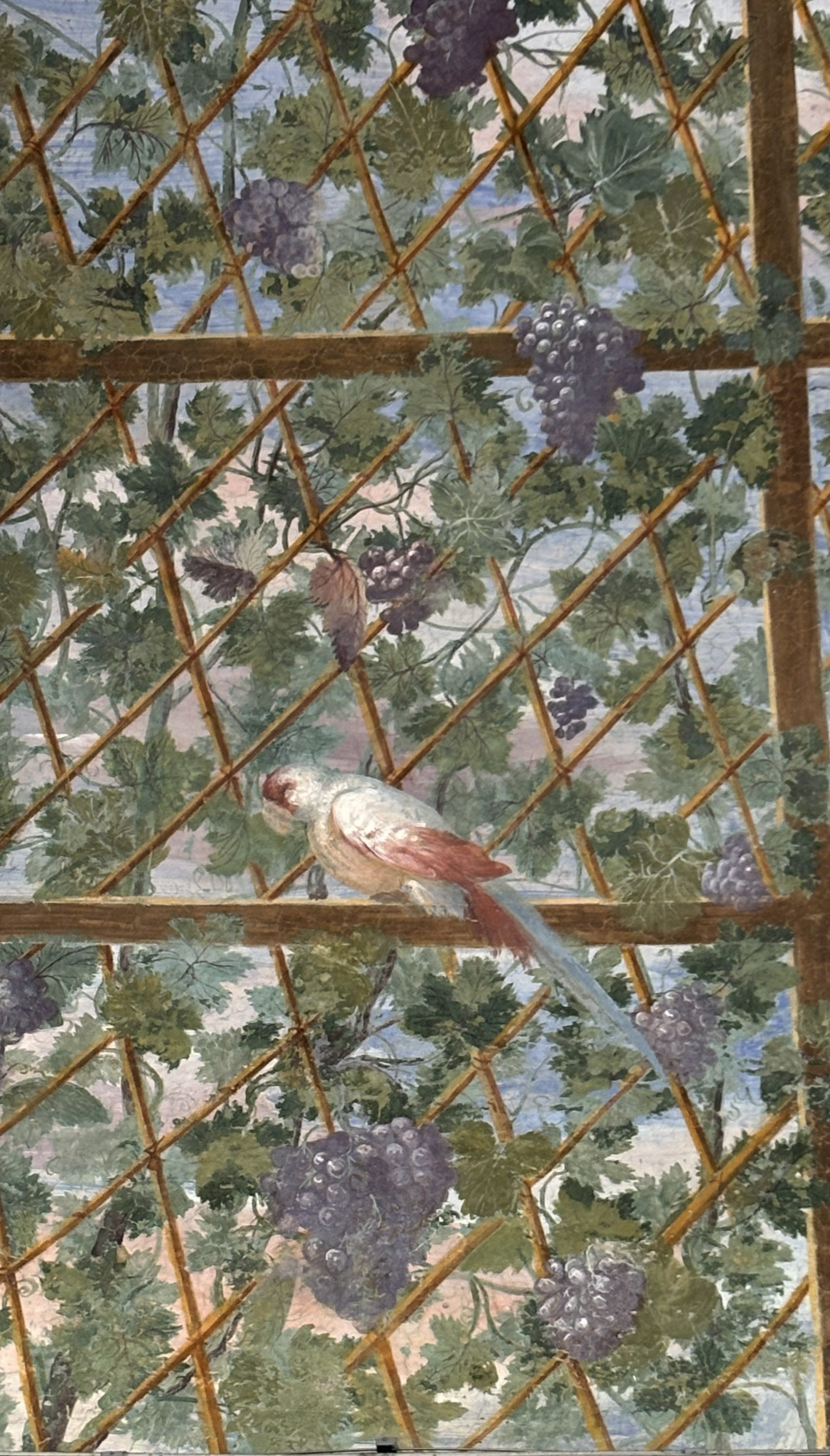 Affresco con pappagallo tra grappoli d'uva