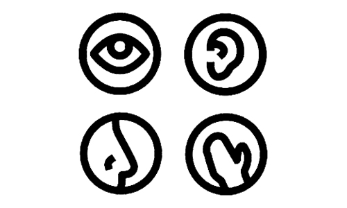 PERCORSO MULTISENSORIALE